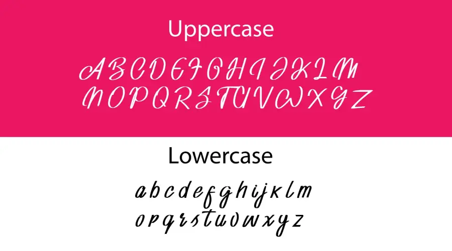 Adventure Script Font Characters View