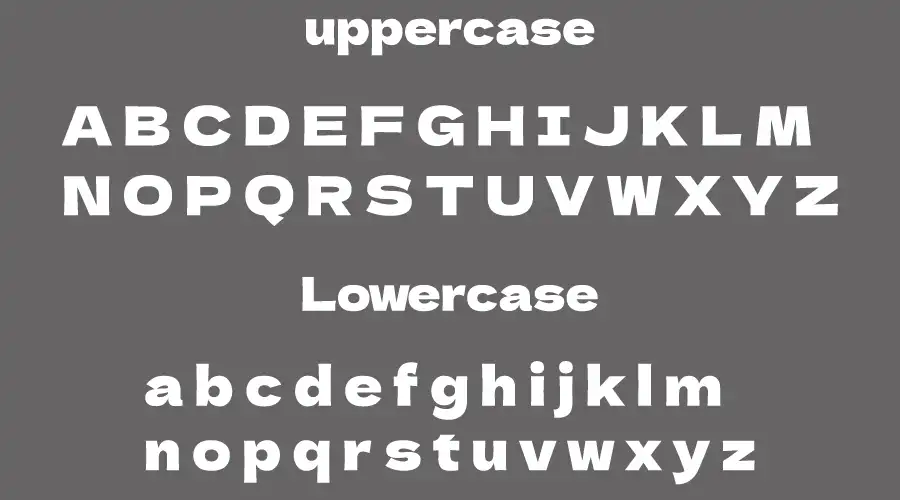 Dela Gothic One Font Character