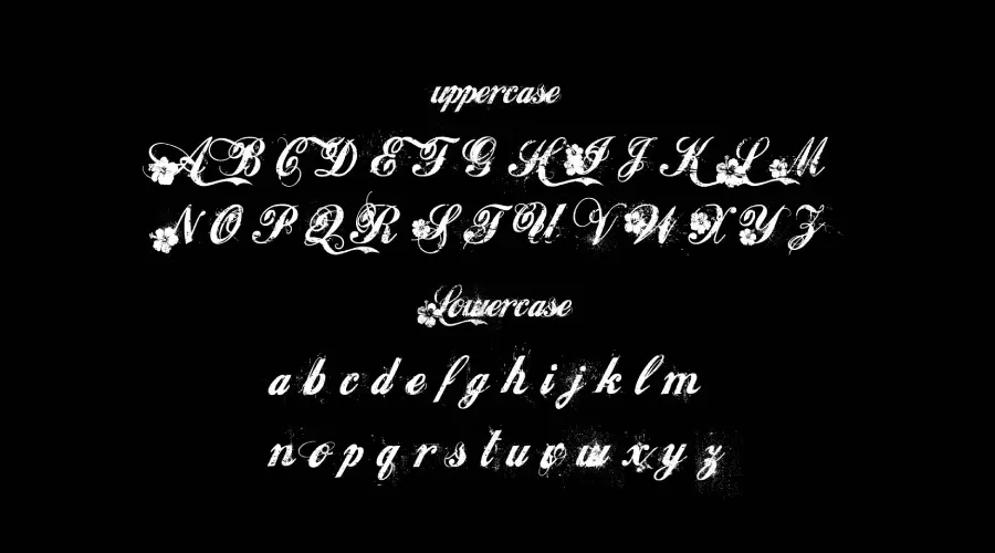 Hawaii Lover Font Characters View